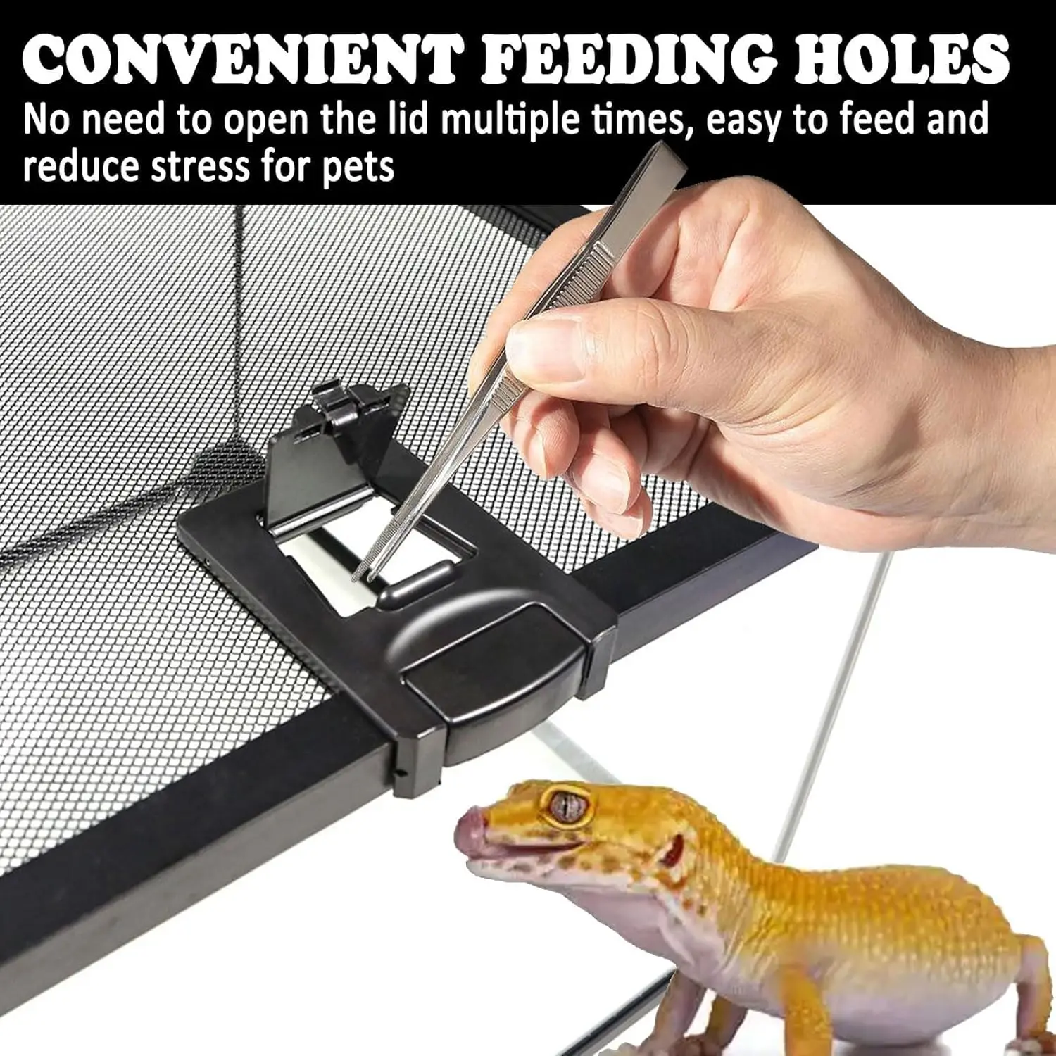 خزان الزواحف، 8 بوصة × 8 بوصة × 6 بوصة تررم الزواحف الصغيرة، خزان زجاجي سحلية شابة كاملة، حاوية موئل برمائية صغيرة قفص الرتيلاء