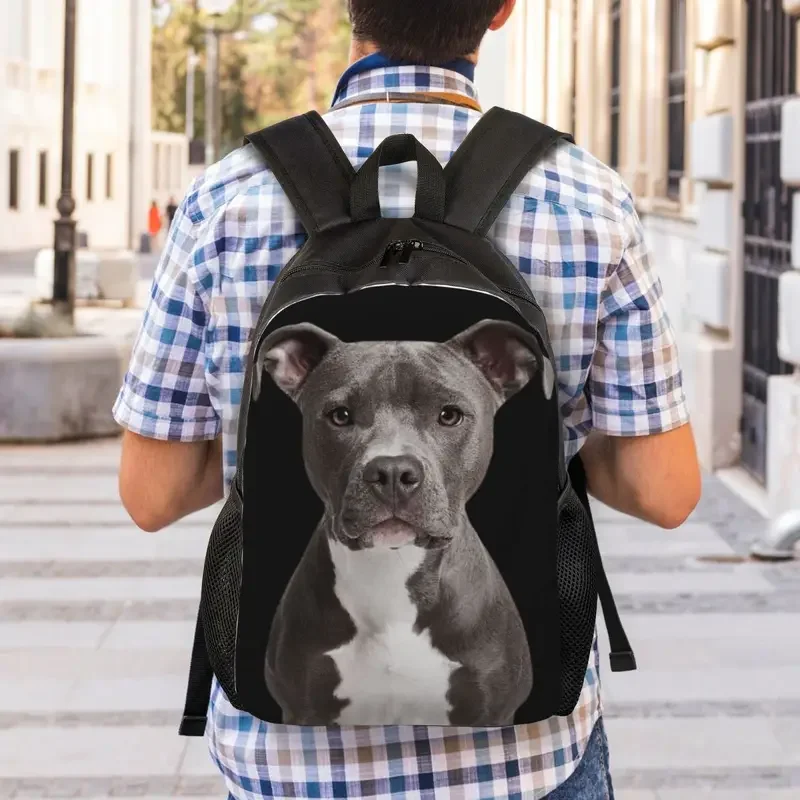 Mochilas personalizadas americanas Pit Bull Terrier para hombres y mujeres, resistente al agua, bolsa escolar para la universidad, bolsa de libros estampada