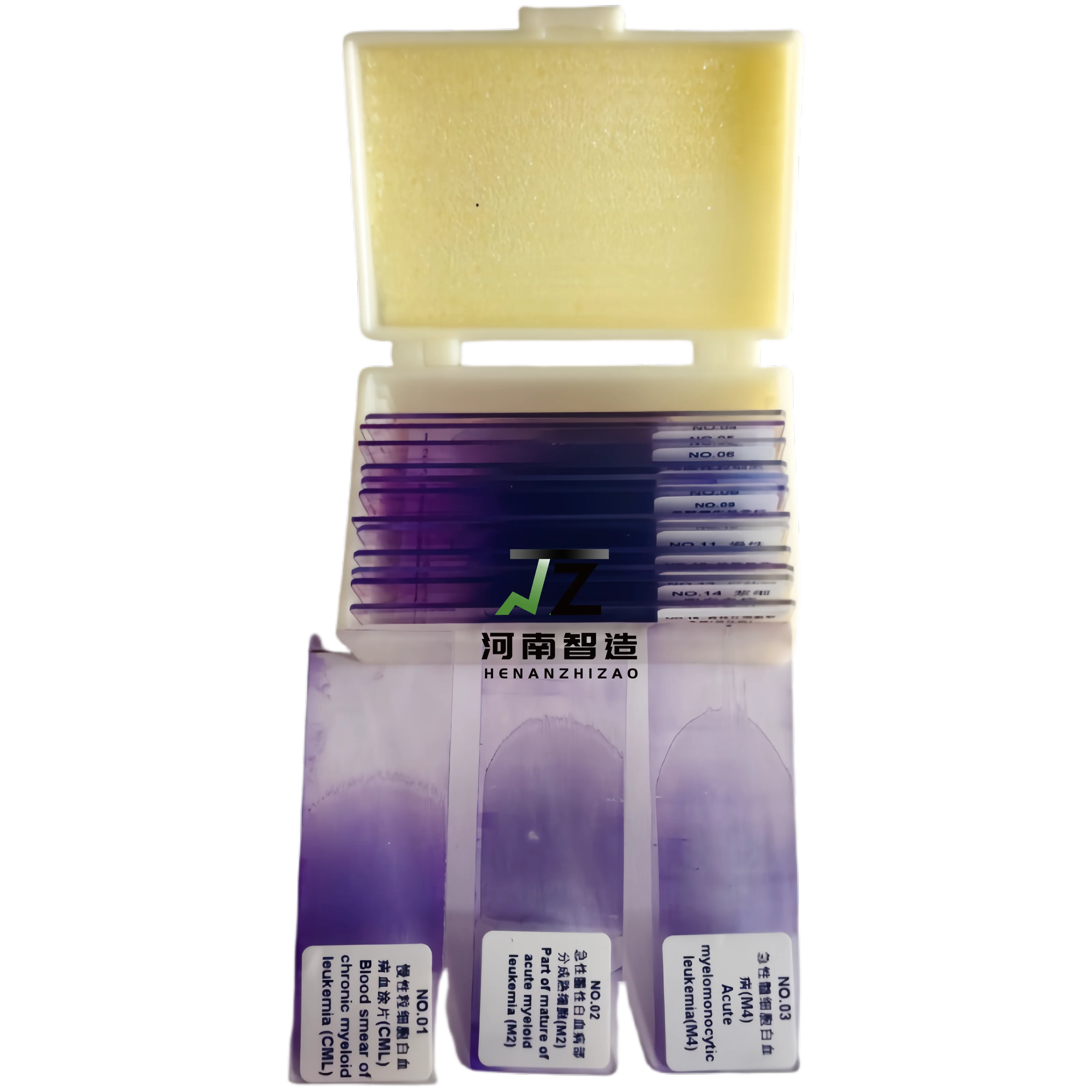 Educational School Equipment 15Pcs/Set Hematology Blood Smear Prepared Slides