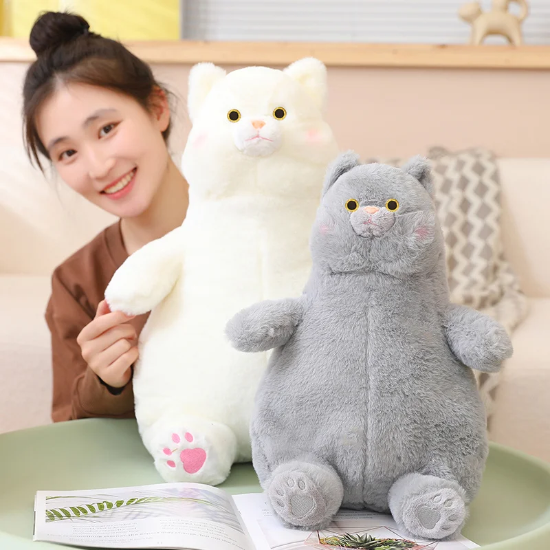 Leuke Mollige Kat Pluchen Speelgoed Anime Knuffeldier Sierkussen Mooie Kitty Knuffels Poppen Zachte Kinderen Speelgoed Meisjes Kawaii Kamer decor