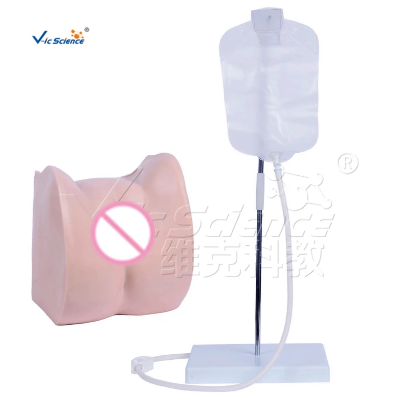 

Simple Female Catheterization Model