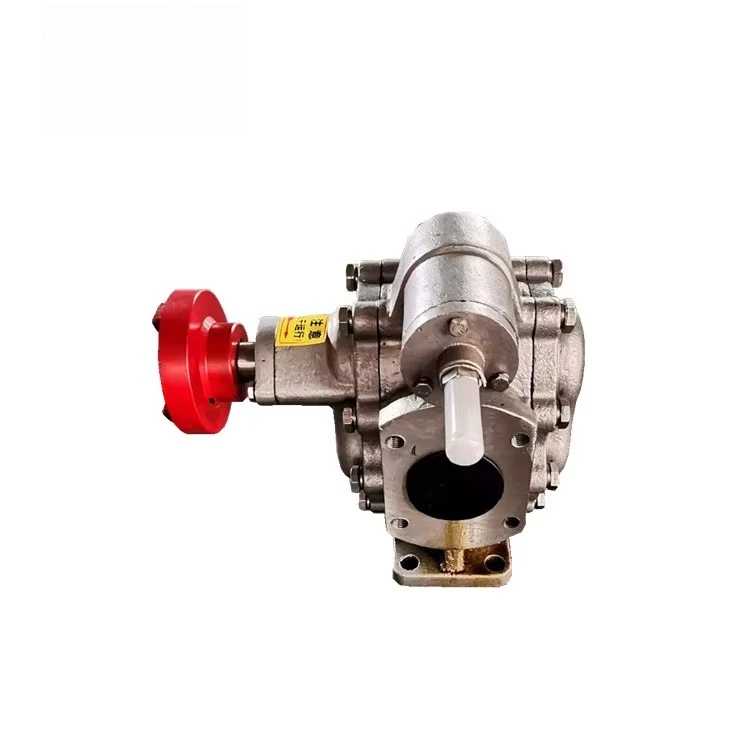 Professional Factory Price Heavy  SS304 Food Grade Resistant  Series Stainless Steel Gear Pump for Oil Transfer