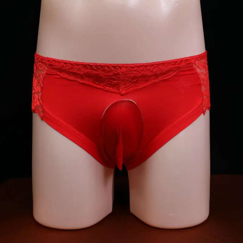 Bragas Sissy para hombre, ropa interior ultrafina de encaje transparente, lencería Sexy, imita el pene