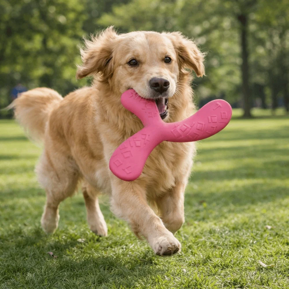 

Bite Resistant Pet Interactive Flying Disc Wear-Resistant EVA Dog Training Toy Three-Leaf Design Floating Flying Disc Toys Park