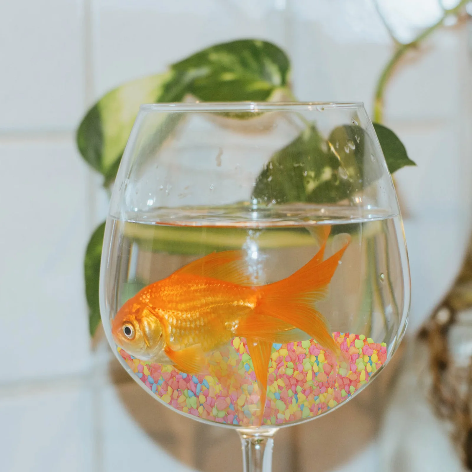 

2 Packs Colorful Pebbles Bright Gravels Fish Tank Stones Aquarium Rocks L scape Stone Decorations Premium Material