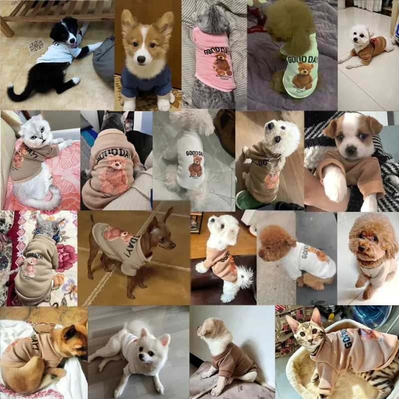 Sudaderas con capucha para perros y mascotas, ropa cálida y suave para perros, sudadera con estampado de oso para cachorros, jersey de moda para gatos, sudaderas con capucha para mascotas, disfraces para perros Chihuahua