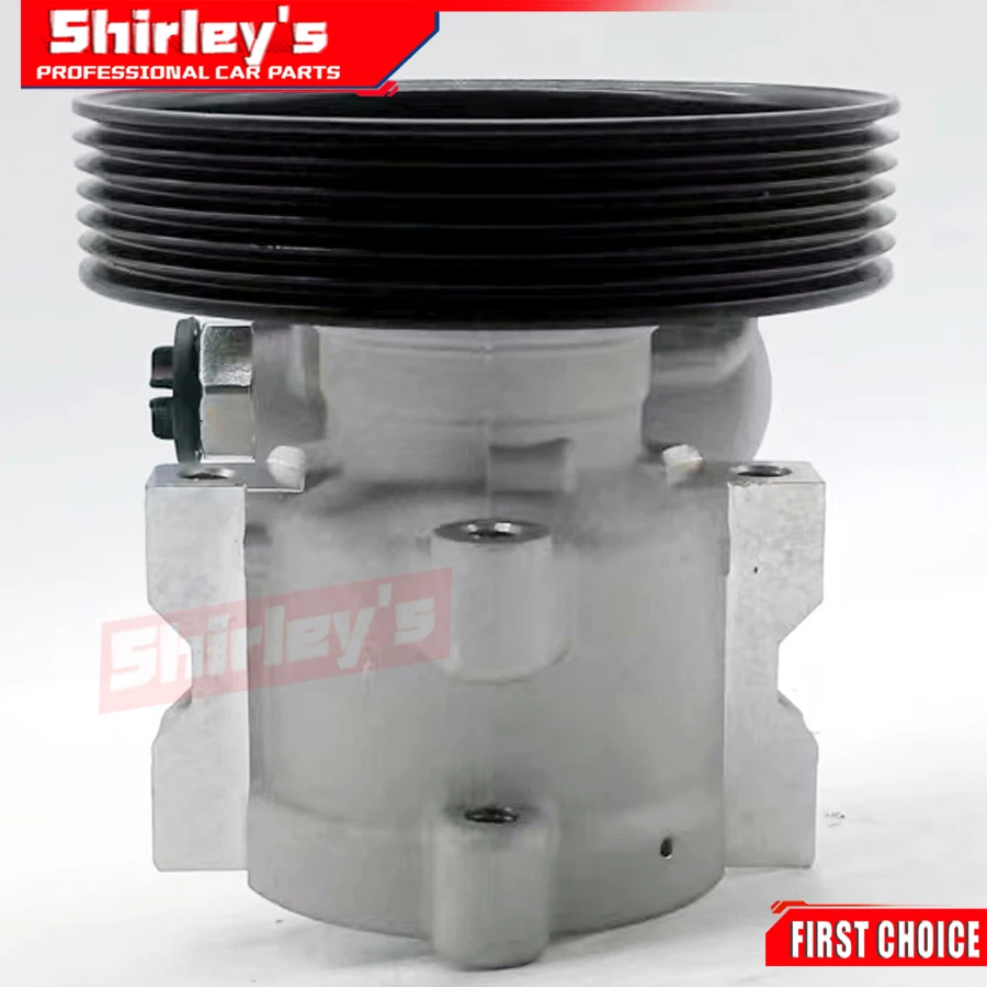 FOR Power Steering Pump For Citroen Peugeot 405 306 9610519980 96144288 96143780