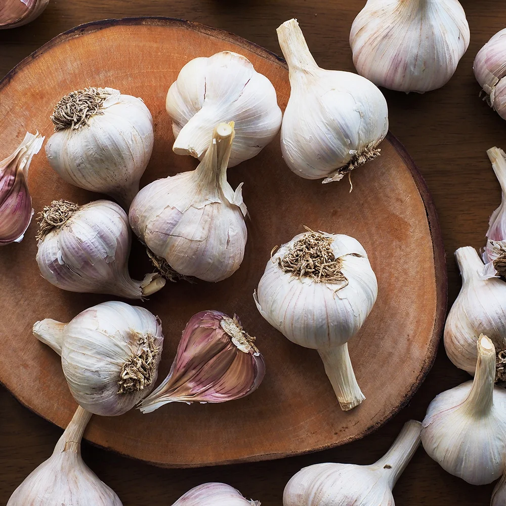 Inländisch hergestelltes festes Tongmarine, bereits Knoblauch, 500 g, äußerliches Gewicht