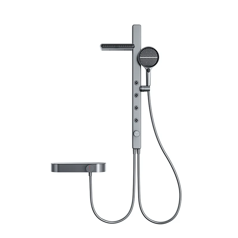 

Roof spray gun gray, simple, shower set, household, all copper.