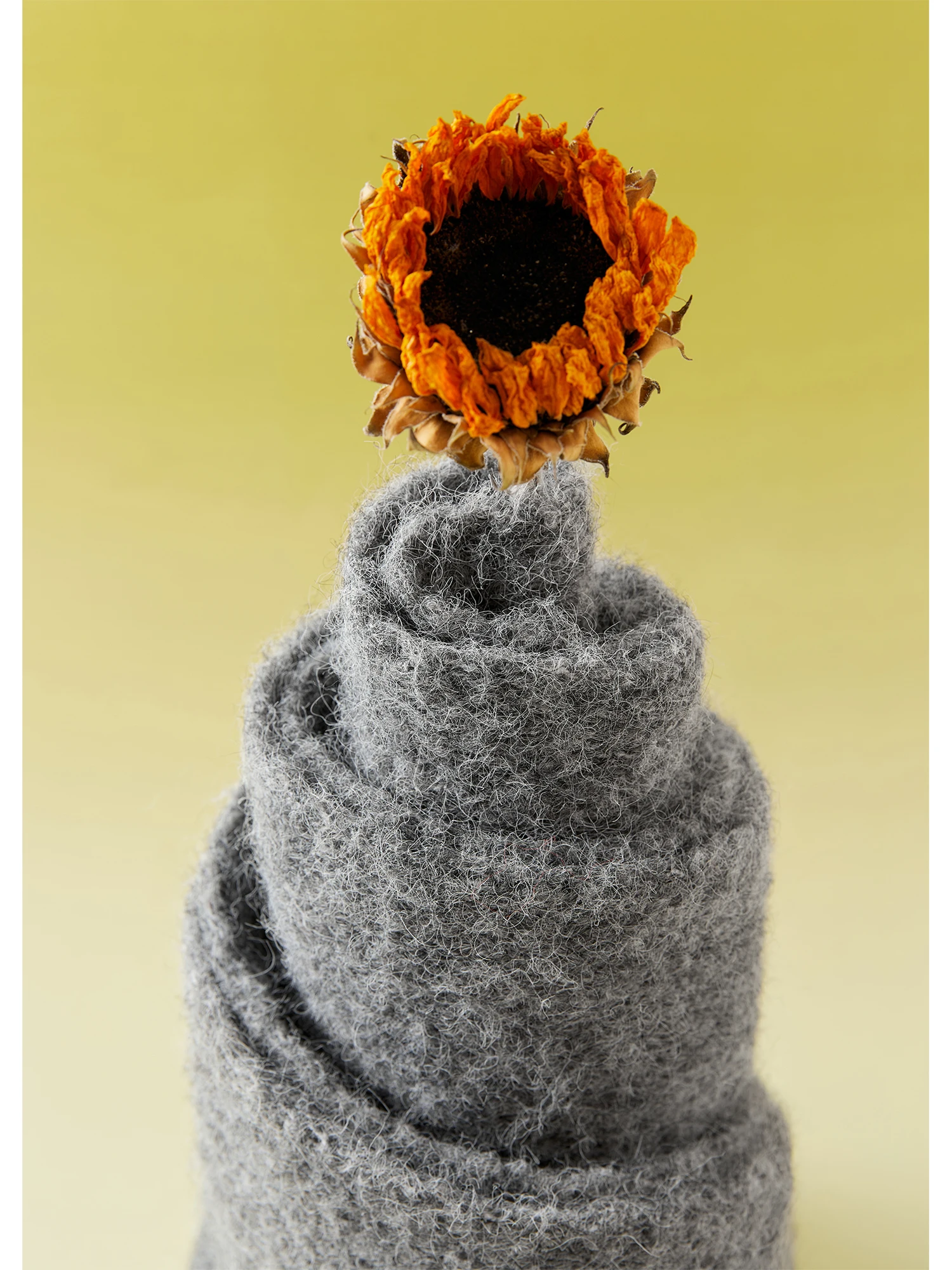 FSLE تنوعا الكورية نمط لون نقي الشتاء وشاح من الصوف شريط حول ياقة الملابس النساء 2025 جديد الصلبة الحلو Ins شيك بسيط لينة