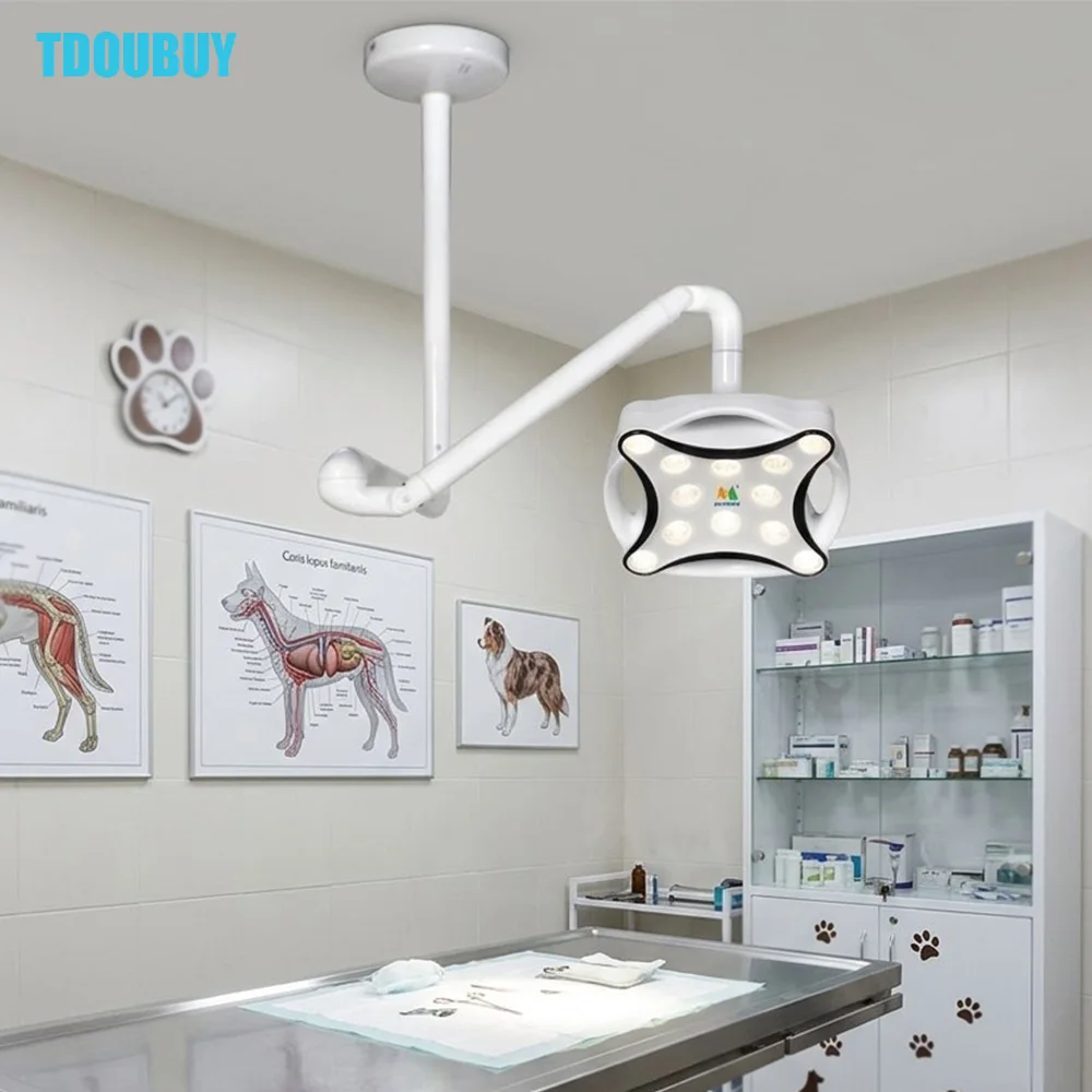 TDOUBUY Touch Switch LED Ceiling Surgical Lamp Operation Light For Used In Dental Clinics, Beauty Studios, Pet Hospitals