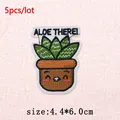 PE16918CT