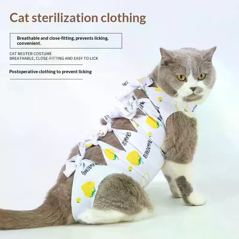 Vêtement de protection post-opératoire pour chat, anti-léchage, ajustable, pour la cicatrisation des plaies, accessoires pour animaux de compagnie