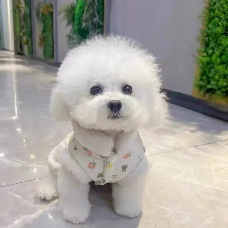 Warm Winter Pet Dog Clothes Teddy Flower Cotton Puppy Dress Thickened and Warm Puppy Feet Coat Pet Fashion Cardigan XS-XL