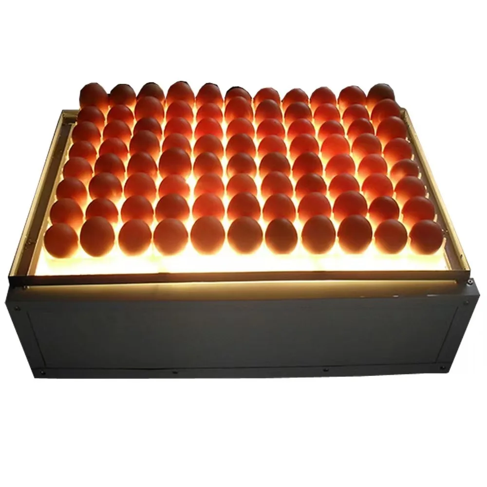 New 220V Chicken Egg Detector Incubator PP Material Cold Light Breeding Inspection Machine Home Use with Core Motor Component