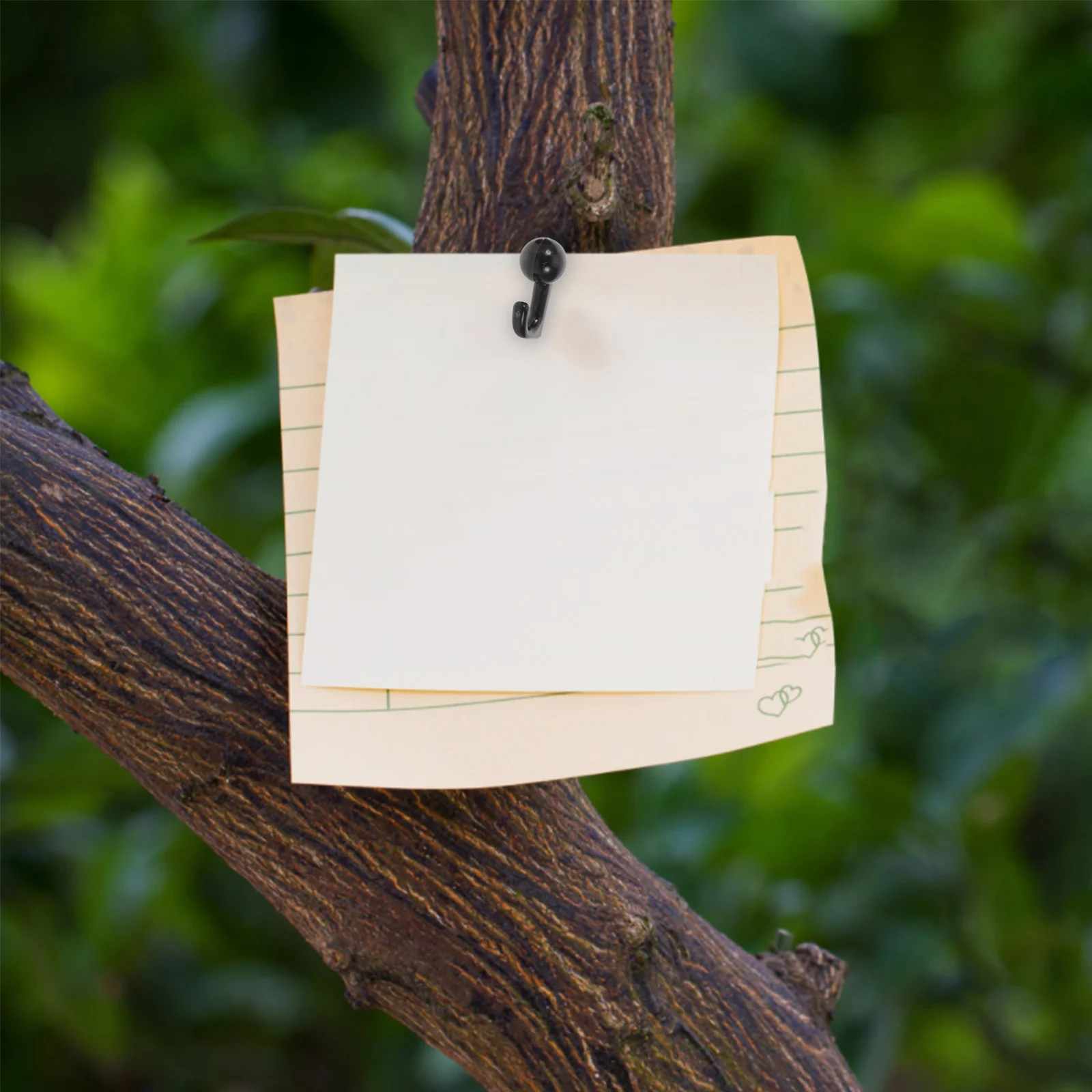 

100Pcs Decorative Wall Tacks Black Thumbtacks for Hanging Pictures Pin Board Pins for DIY Bulletin Board and Wall Art Display