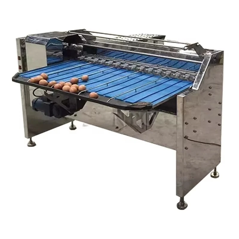 Machine de triage des œufs à haute productivité personnalisée / Machine de calibrage du poids des œufs / Trieuse d'œufs