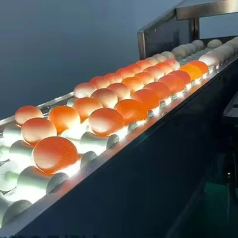 Egg Processing Equipment Lighting Inspection Duck Egg Optical Inspection Machine
