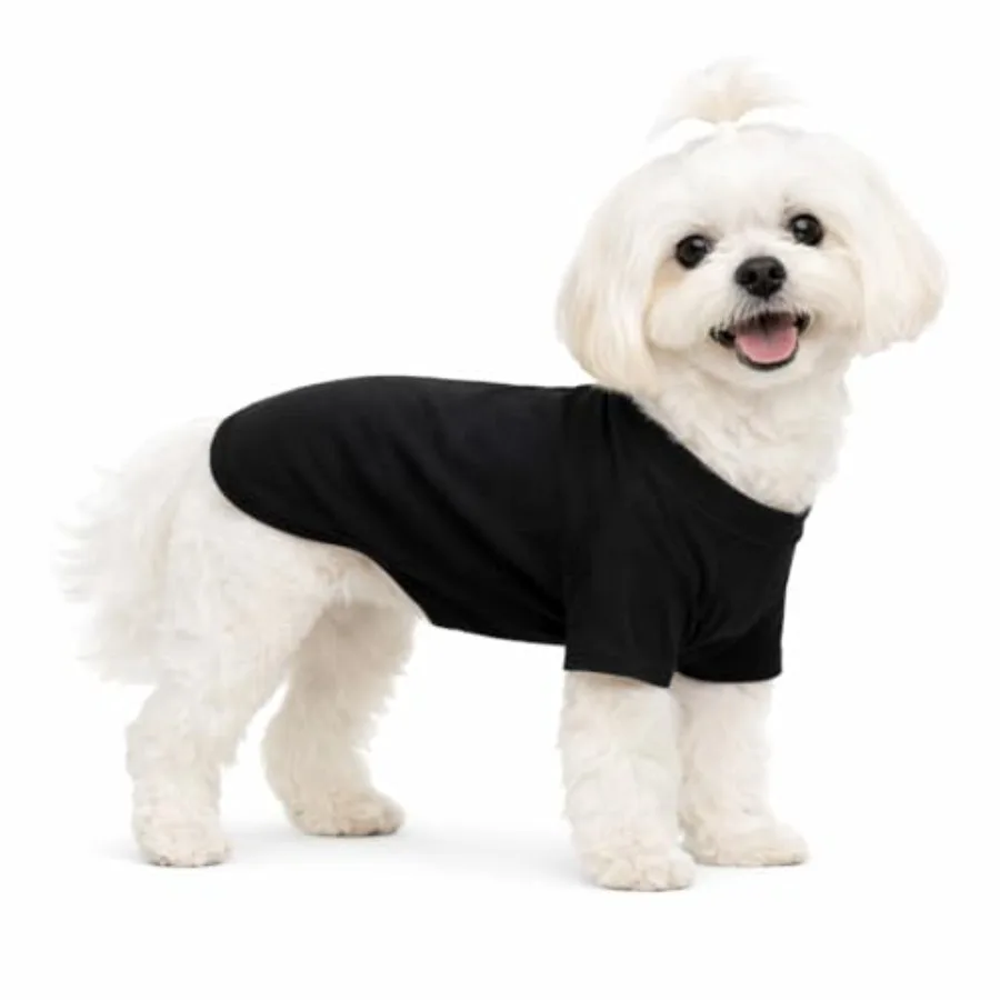 Pet Clothing Dog Costumes Basic Blank T-Shirt Tee Shirts for Small Dogs XS