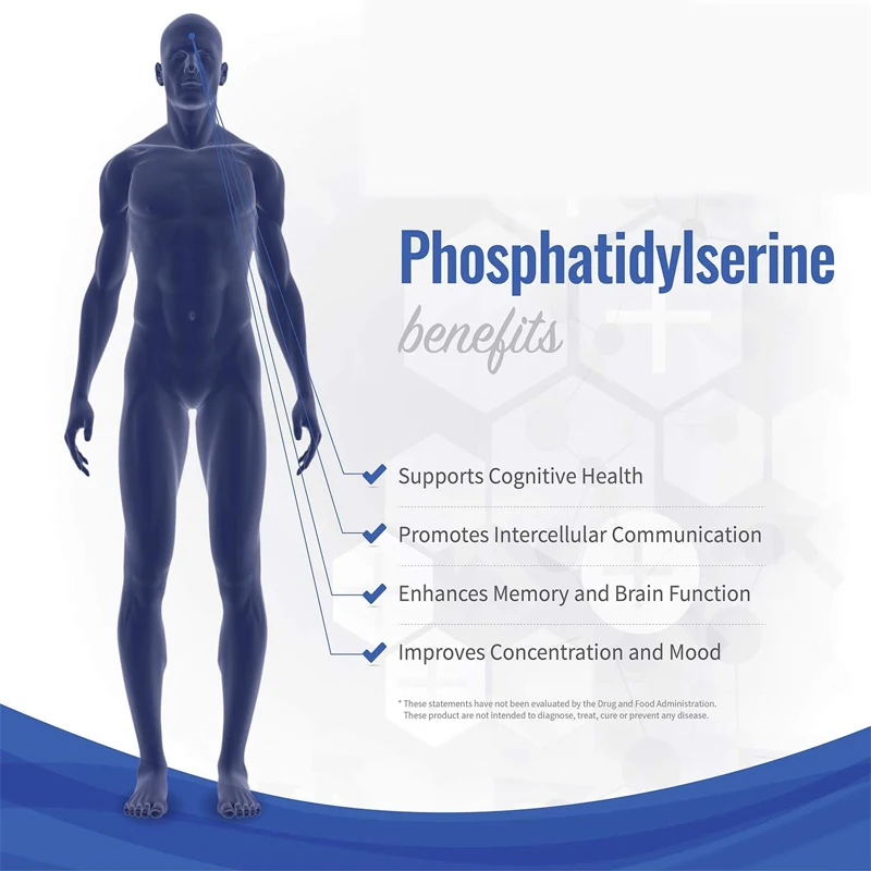 Phosphat idyl serin 500mg 60 vegetarische Kapseln | Nicht GVO Soja frei | Gehirn verstärker