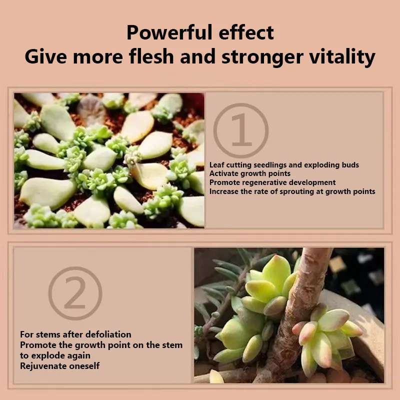 Succulent plant Eugenin promotes budding, dwarf fat, prevents leggy organic granules, succulent, and succulent 300ml