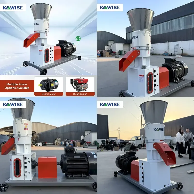 Feed Pellet Machine with Rotating Roller Flat Die for Small Farm Poultry and Livestock Feed Making Daily Use