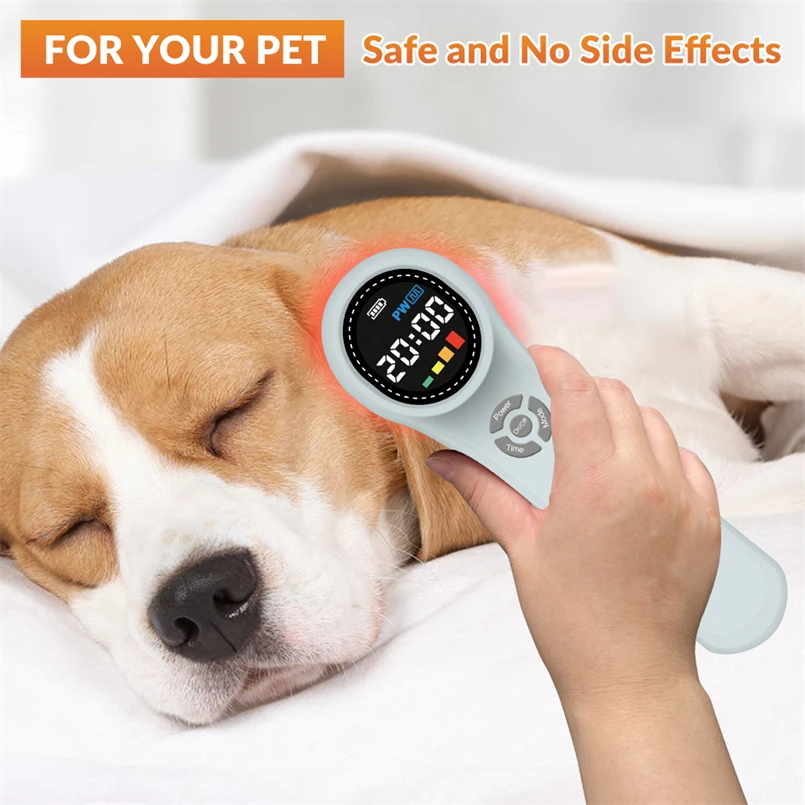 

Laser Red Light for Pets Lllt Cold Laser Therapy Approved Cold Laser Therapy Device Dogs for Wound Healing Tendon Injuries