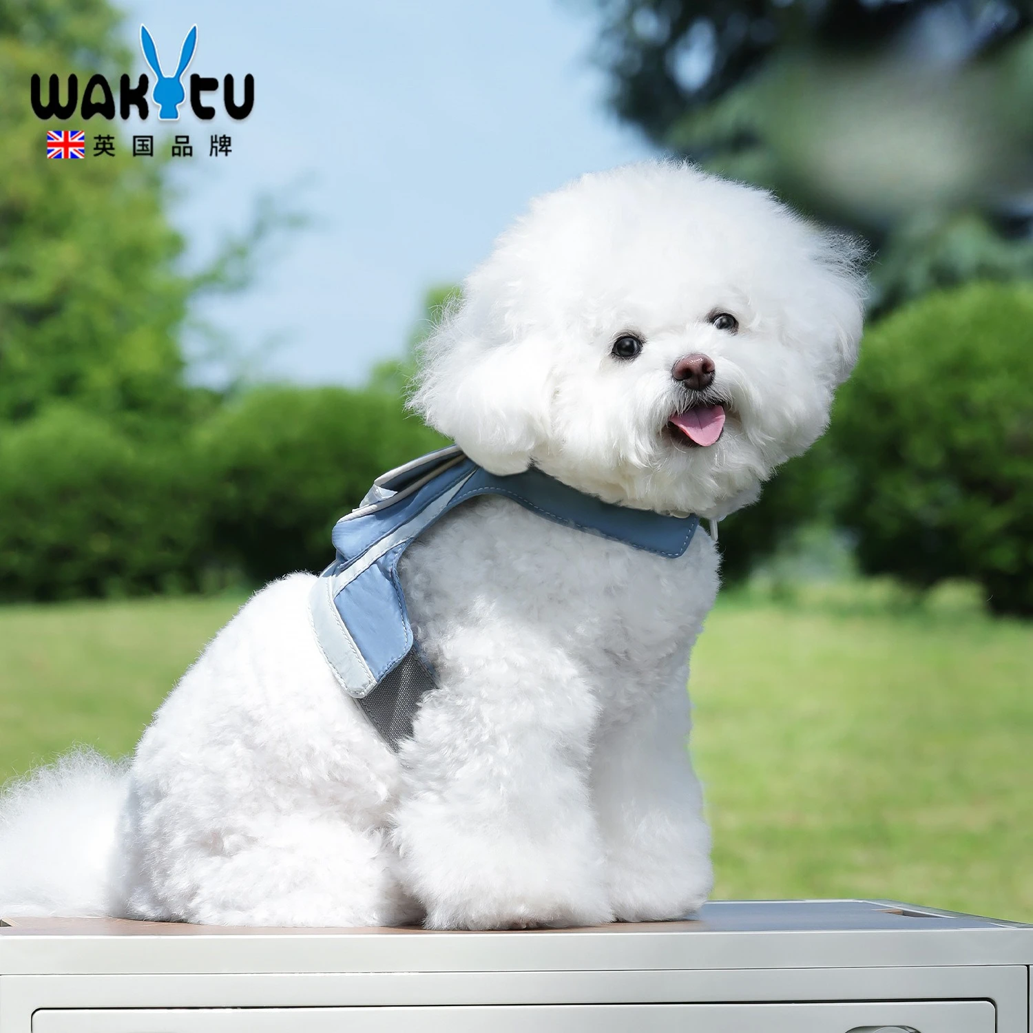

Wakytu British Dog Outdoor Vest Puppy Teddy Bigbear Corgi Schnauzer Small and Medium Dogs Pet Clothes Coats Jackets