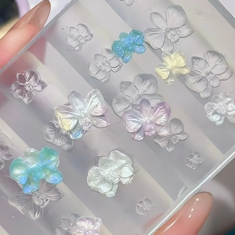 A Butterfly Orchid …