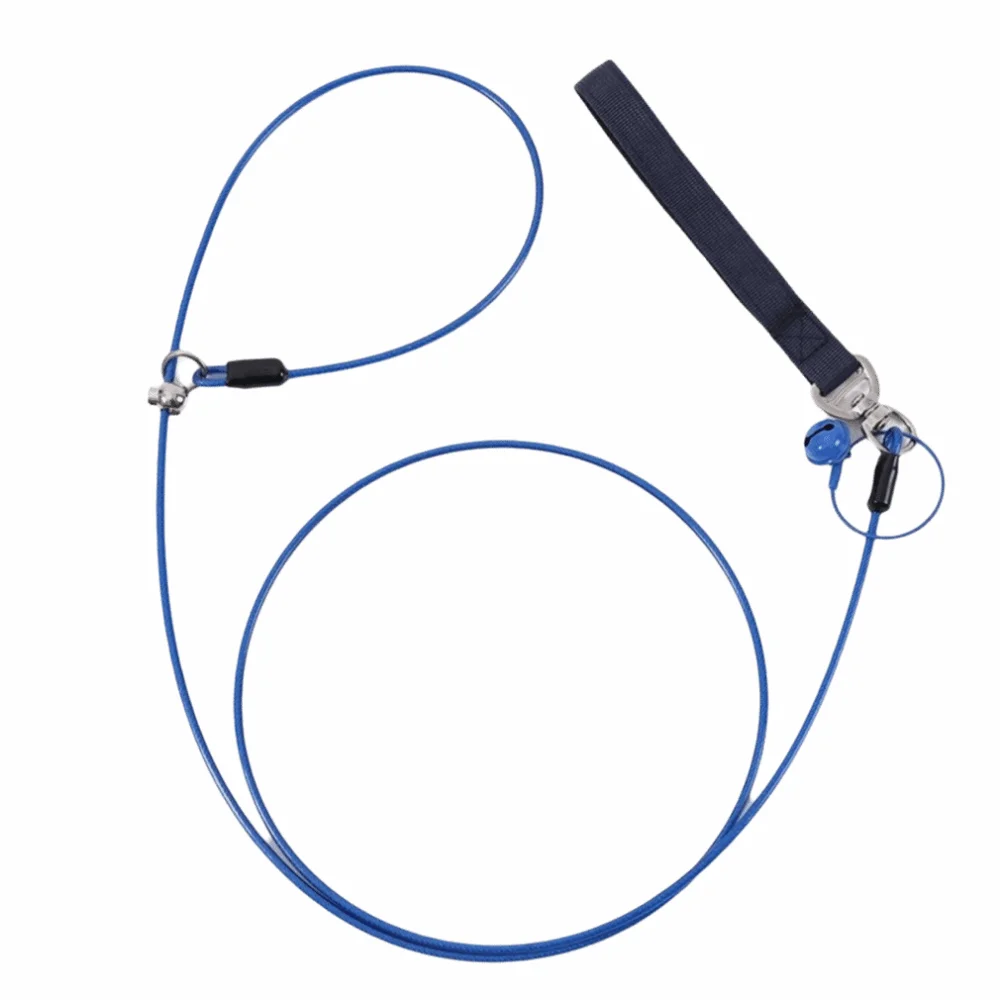 Colorful Puppy Trai…