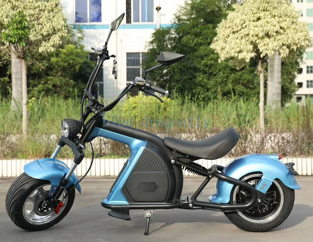 Hot  2000w 60v 20Ah  Long Range Electric City Coco Motorcycle Fat Tire Electric Scooter