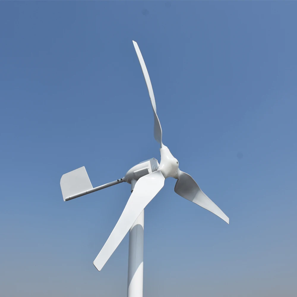 Free Energy Professional Custom 3000W 5000W 48V Horizontal Axis Wind Turbine Generator Power System for Home Use