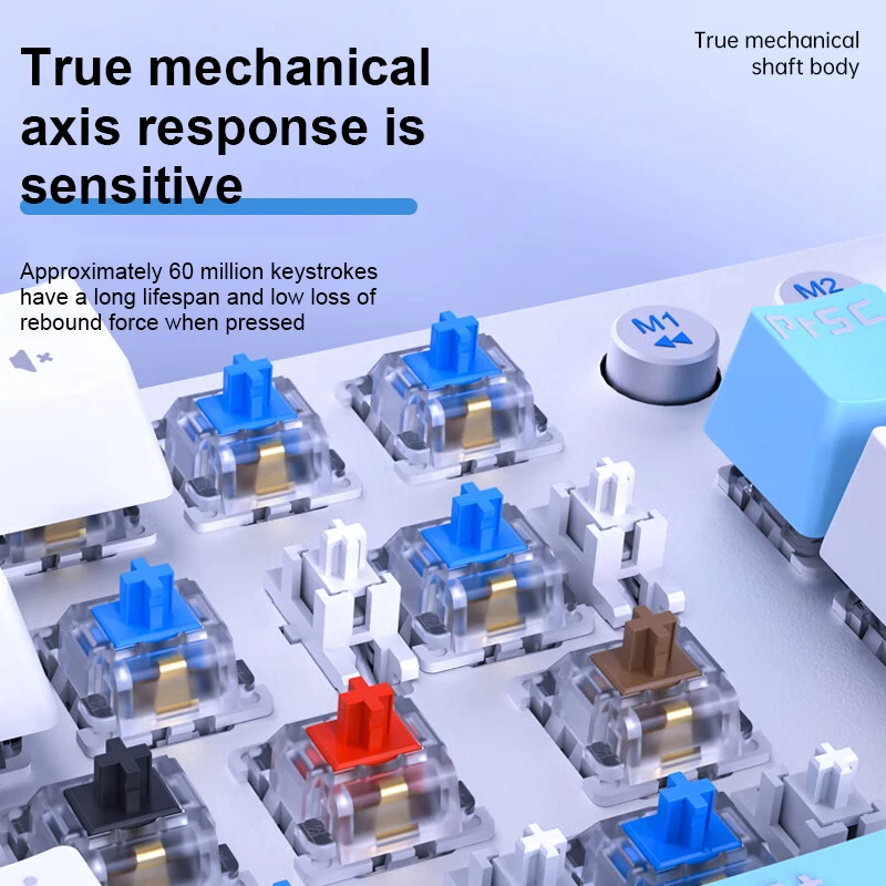 AULA 블루투스 무선 기계식 키보드, 3 가지 모드, 금속 패널, 2 색 사출 성형, 멋진 백라이트 효과, 87 키, F3001