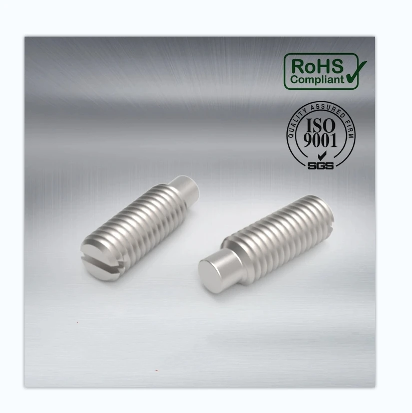 DIN 417 Slotted Set Screws with Long Dog Point  FOB Price US$0.10-5.00 / Piece 10,000 Pieces (MOQ)