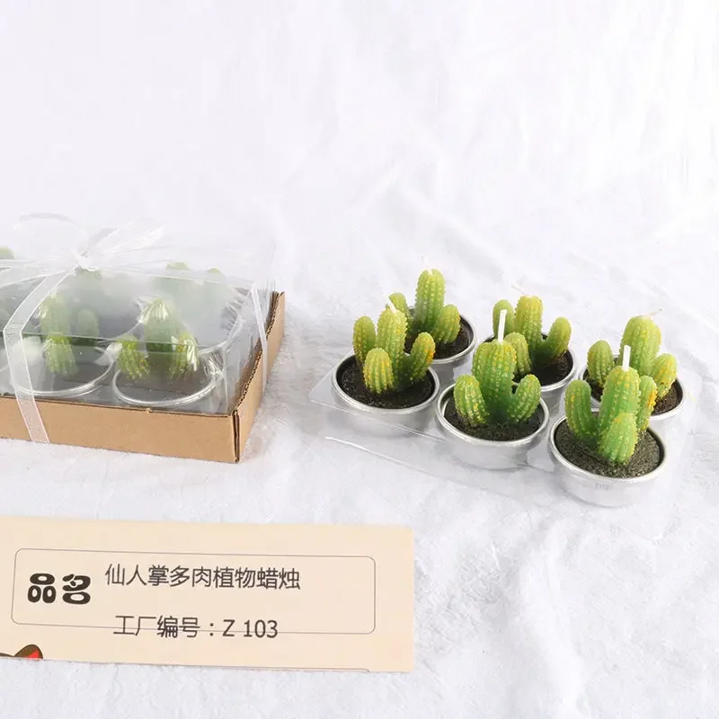 6 Creative Scented Candles in Sets Mini Cactus Meaty Birthday Candle Personalized Instagram Style Smokeless Hand Gift Candle