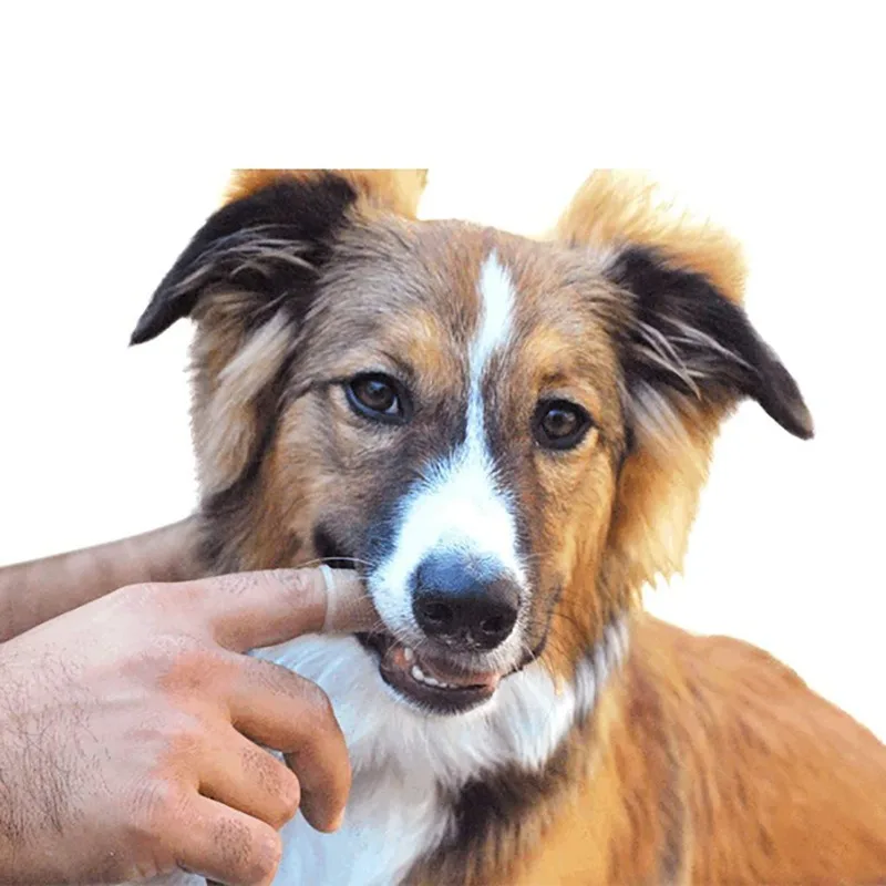 Pet Finger Toothbrush Dog Cat Teeth Cleaning Brush 360 Degree Soft Bristle Oral Care Finger‑sleeve for Pets Daily Dental Care