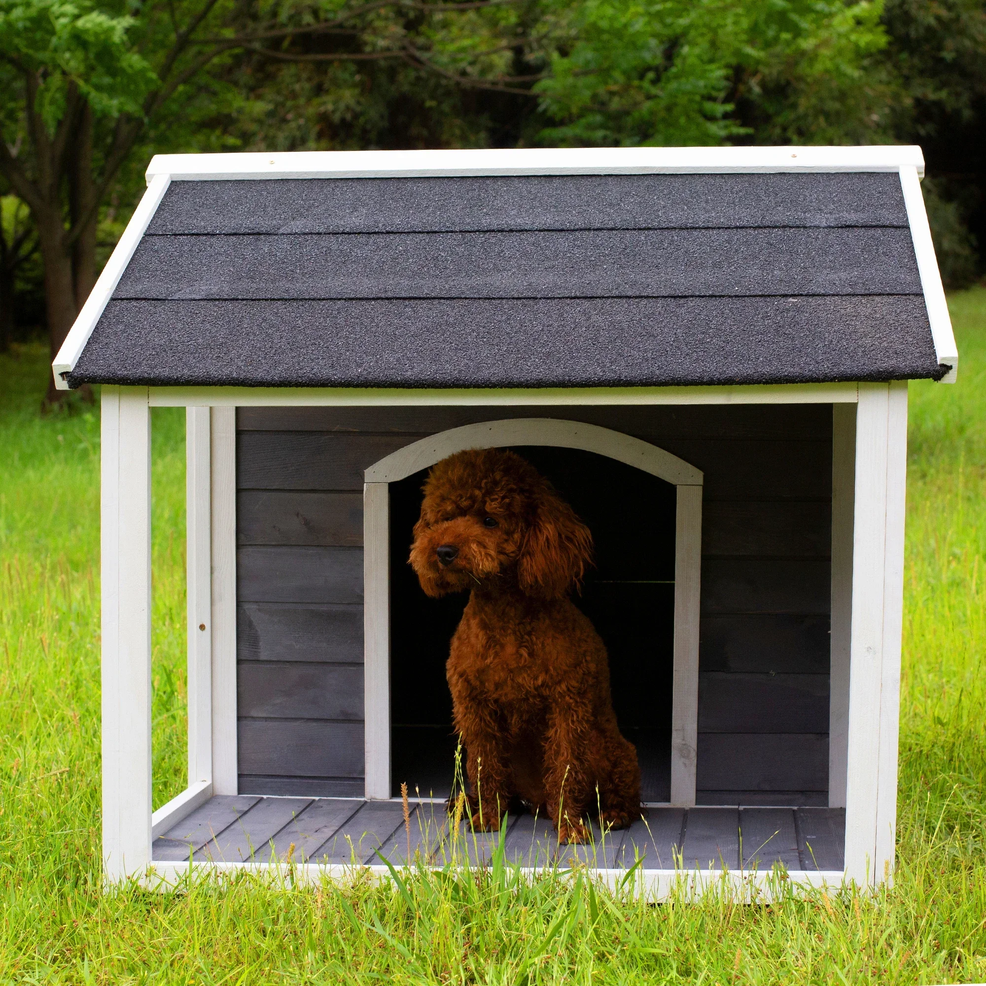 Wooden Dog House Outdoor Insulated, Weatherproof for Small Medium Dog with Air Vents Elevated Floor Outdoor Indoor