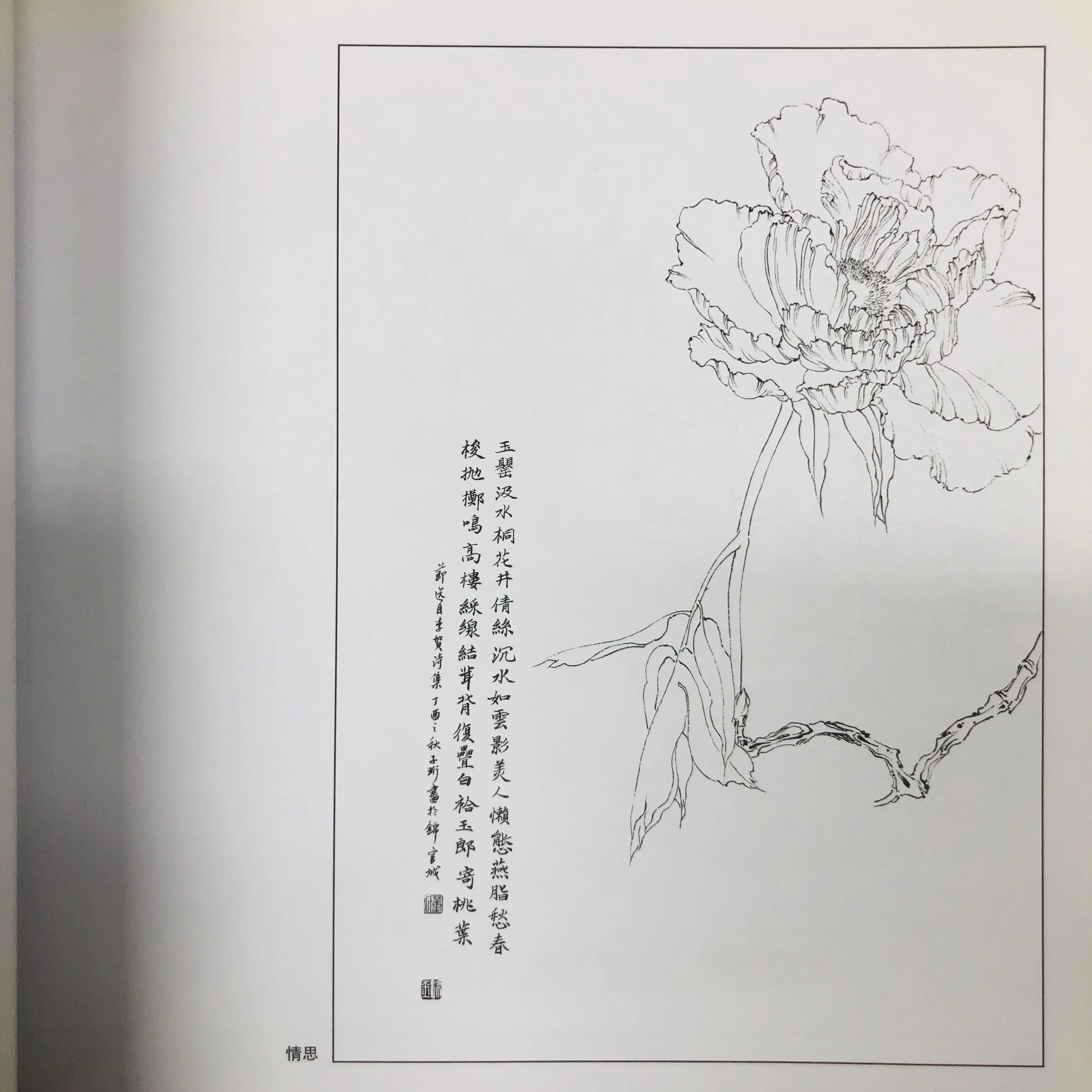 Coloring Book for Adults and Teens Featuring  with Easy and Simple Designs for Relaxation Chinese painting sketch