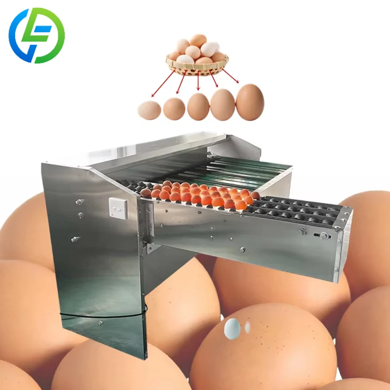 Customized Anti Slip Stable Conveyor Belt Egg Grading Machine Smooth Egg Delivery Prevent Falling Breaking For Sorting Process