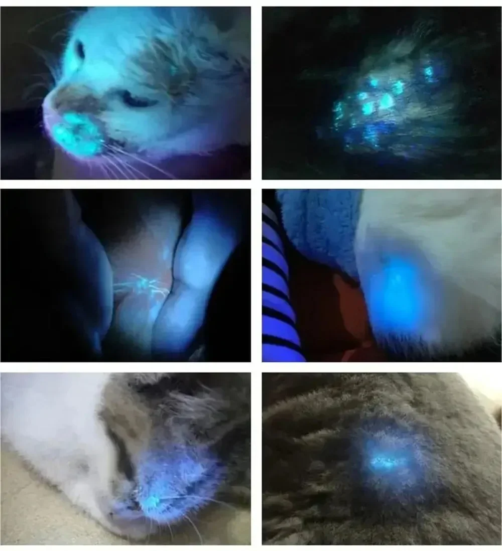 皮膚検査用ウッドランプテスト医療診断分析機紫外線顔面皮膚分析パーソナルビューティーケア