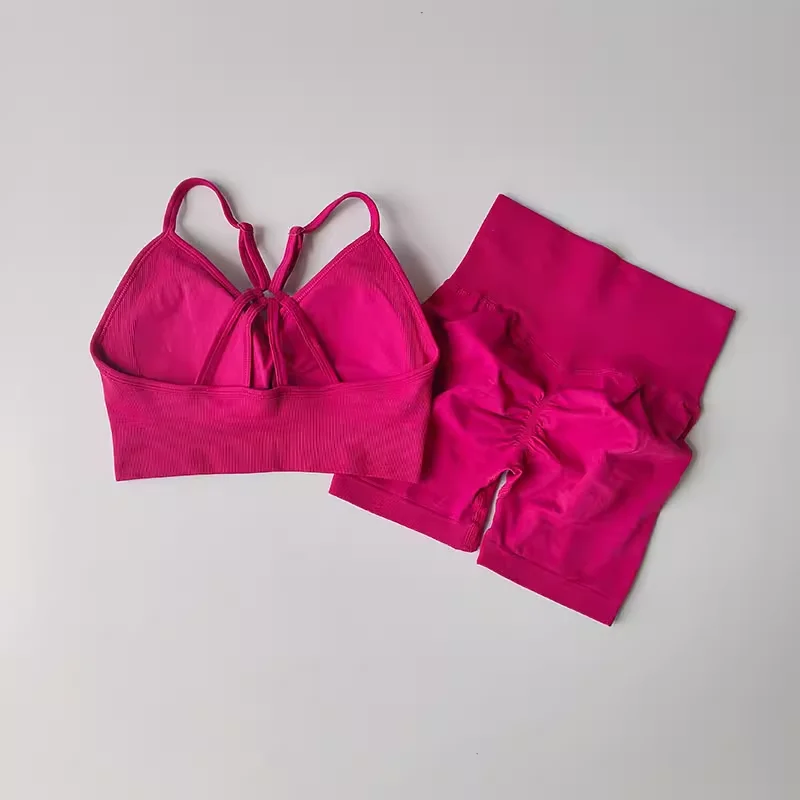 2 Pcs Yoga Sets Women High Waist Workout Outfits Gym Wear Gym Clothing Sports Suits Fitness Tracksuit Sportswear Shorts Suit image 6