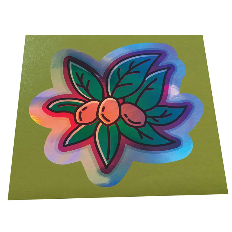 Logo Sticker Afdrukken Custom Voor Verpakking Zakken