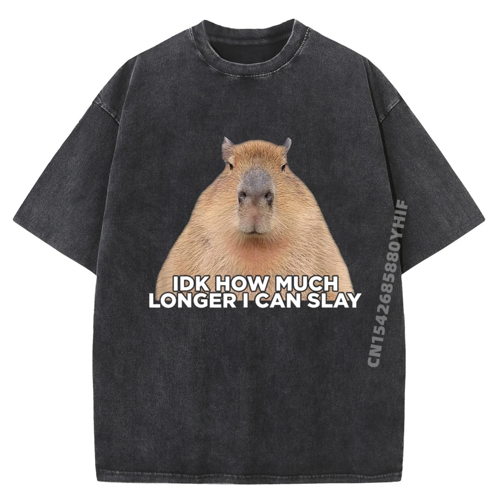 

I Don T Know How Much Longer I Can Slay Capybara Lover Meme Luxury T Shirt Women Men's T-Shirts Cool Fashion Washed Shirt