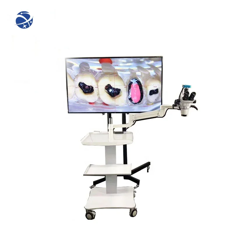 Operating Microscope 0-180degree  Binocular LED Surgical Microscope   Endodontic Microscope not with Camera