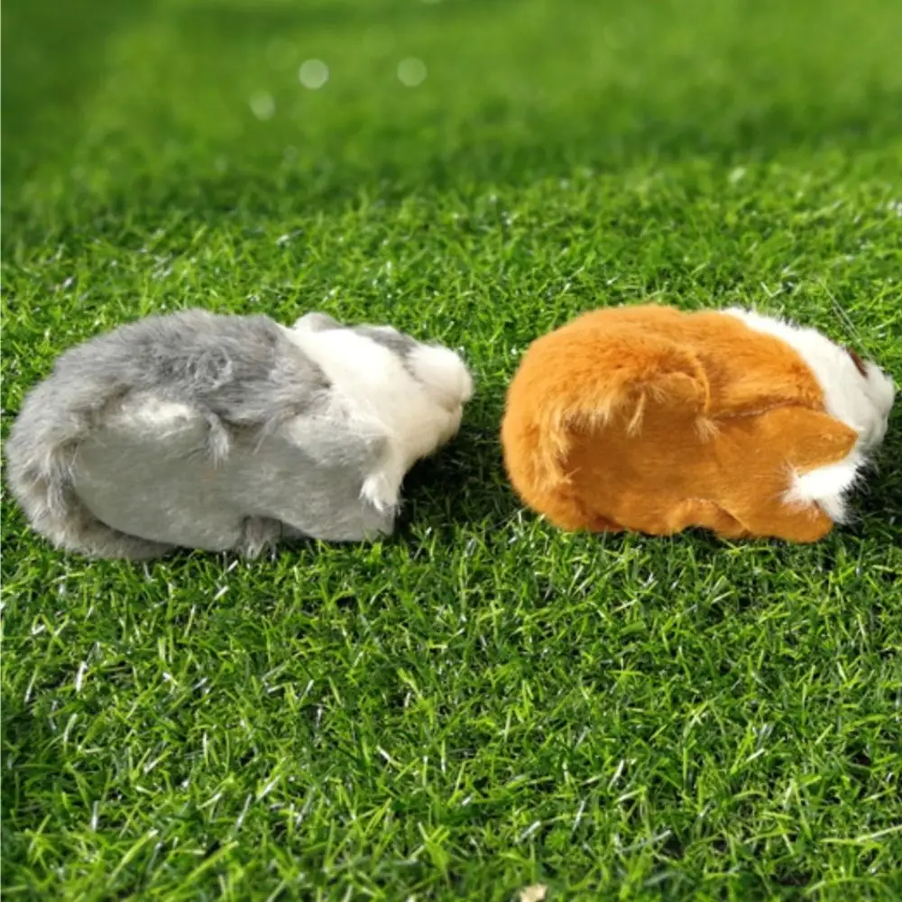 Creativo hámster regordete PP algodón hueco conejillo de indias esponjoso suave Animal relleno Plushie decorar regalo