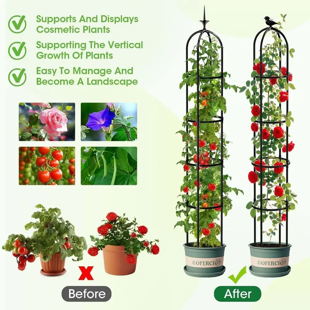 2-Piece Garden Trellis for Outdoor Plants, 6.2ft Tall Support for Climbing Roses, Clematis, Jasmine, Ivy, and Light Climbing Vin