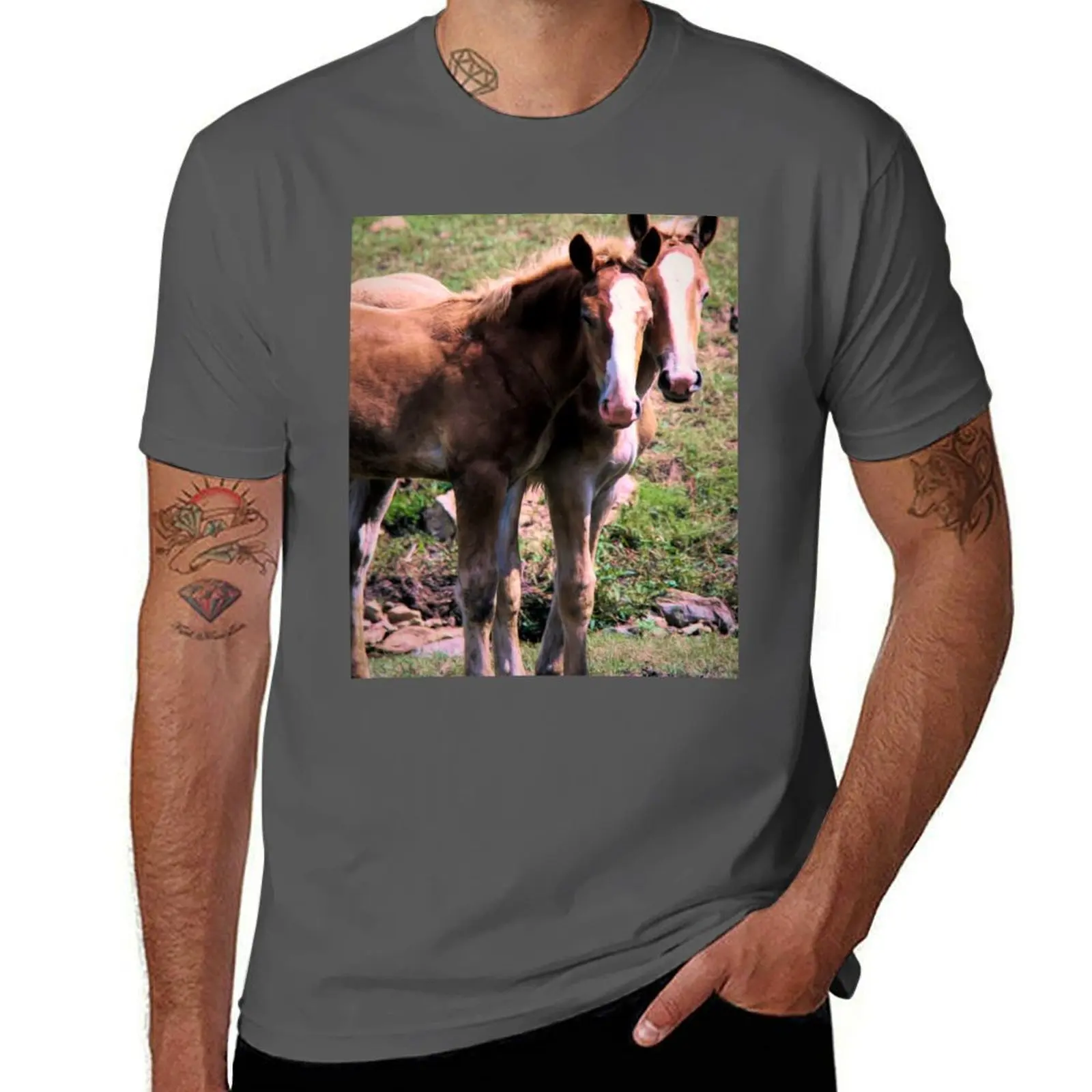 

Belgian Draft Horse Foals in Lancaster County, Pennsylvania T-Shirt mens graphic t shirts funny t shirts cotton T-Shirt