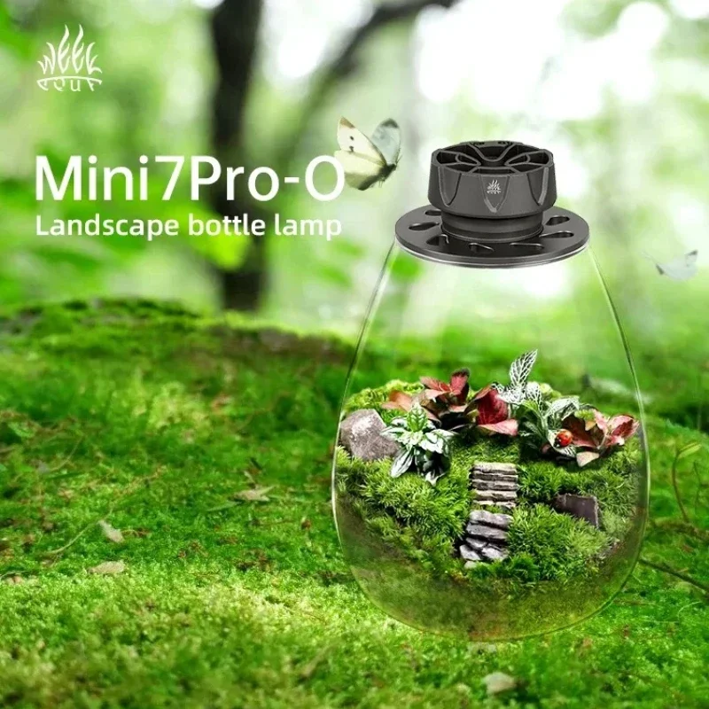 WEEK AQUA Mini7 Pro-O LED Microlandscape Lighting COB Glass Vases of Moss Succulents Lamp