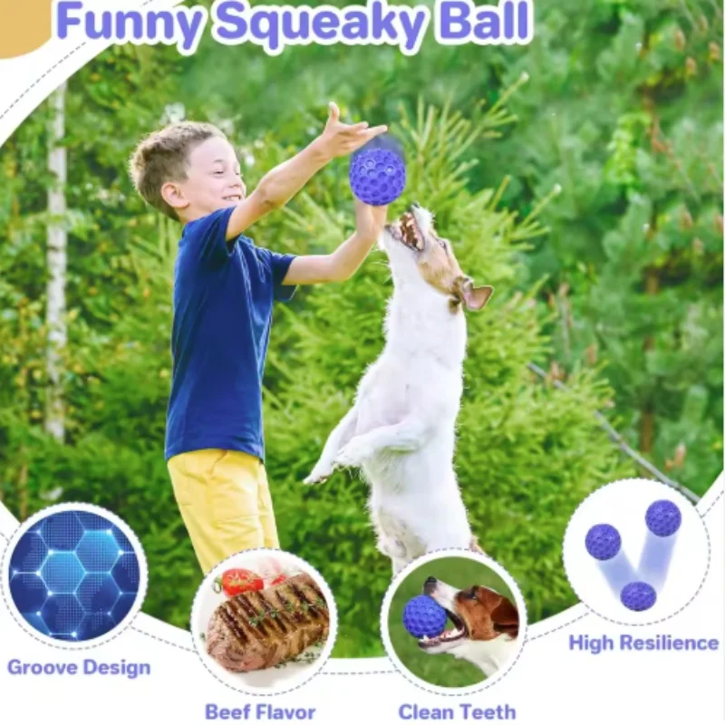 #25 Trending Dog Balls Right Now