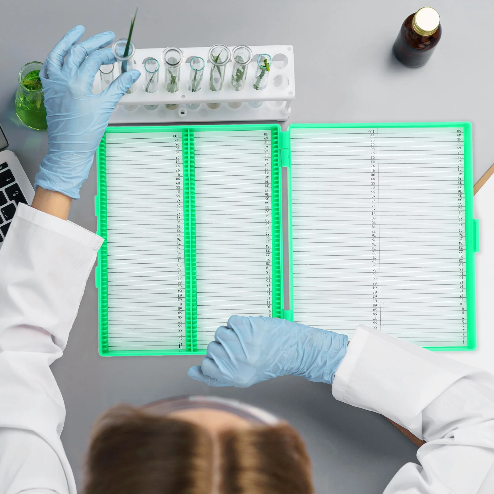 Boxes Large Capacity Storage Box Durable Waterproof Lab Slide Organizer Transparent Lid For Pathology Slides Laboratory